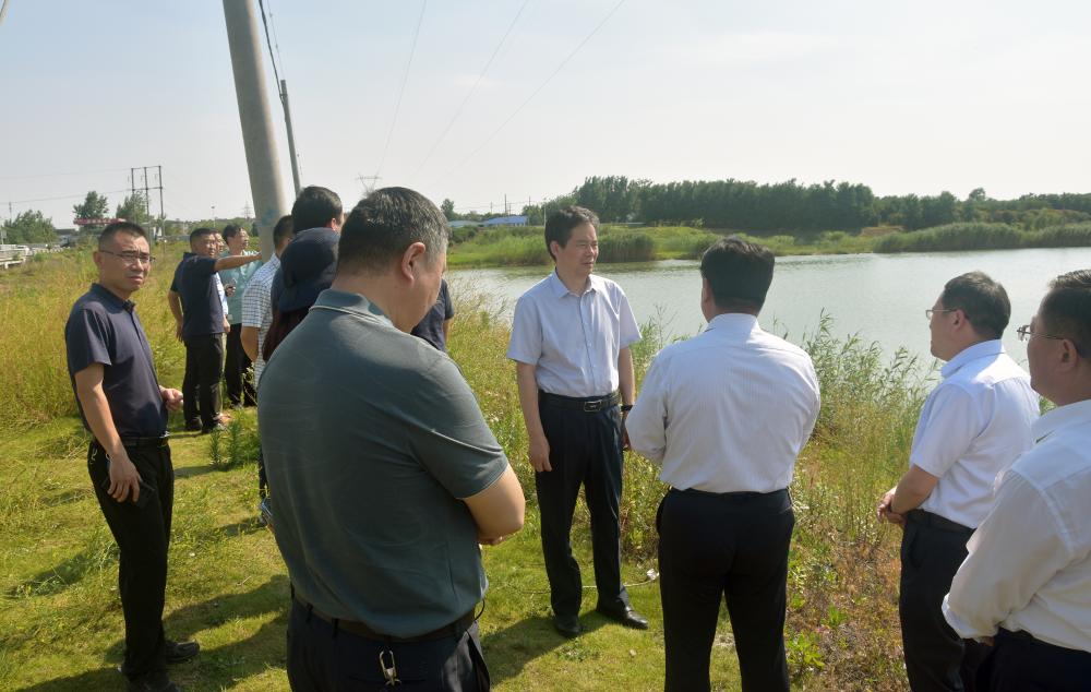 宿州市副市长沱河市级河长杨泽胜巡查沱河河道